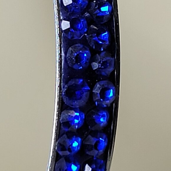 Round Blue Earrings - Picture 4 of 4